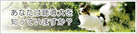 日本聴導犬教会